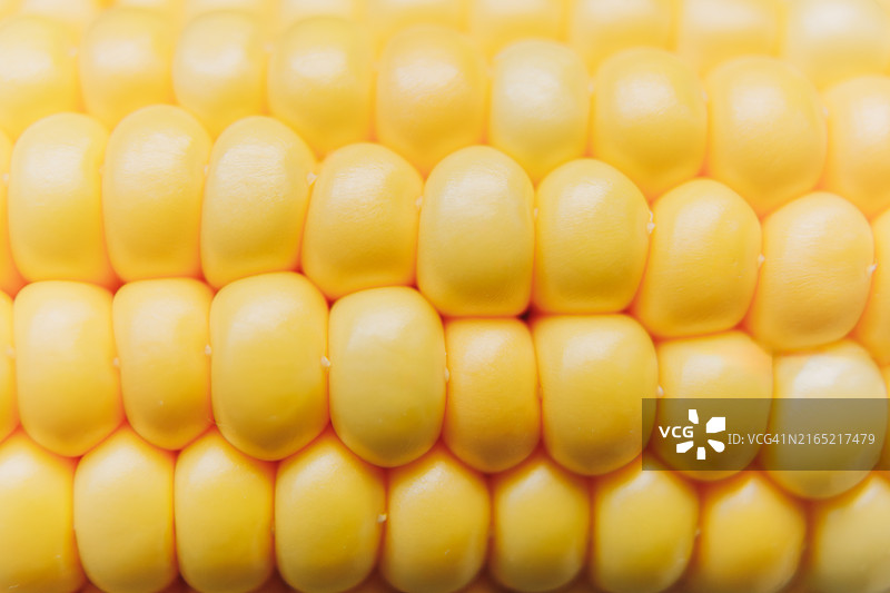 玉米粒特写，玉米棒图片素材