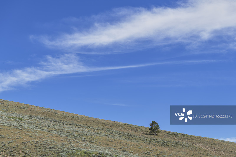 云和树图片素材