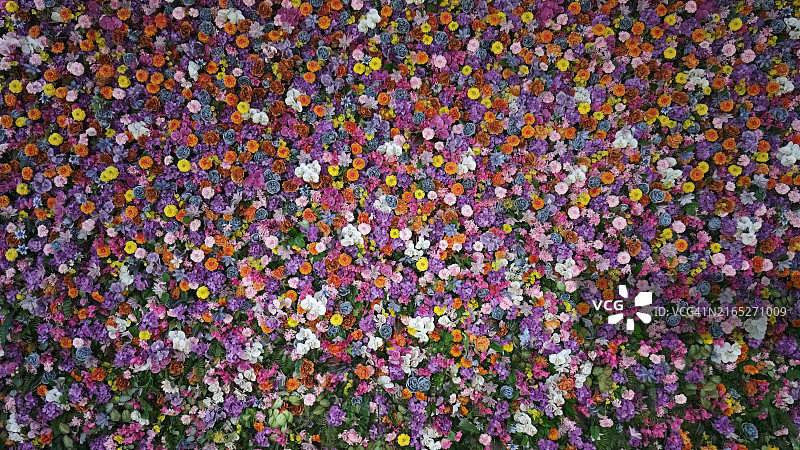 鲜花墙图片素材
