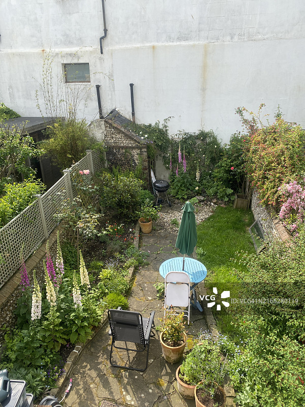布莱顿美丽的联排别墅花园，配有躺椅、烧烤架、带花园伞的桌子和盛开的毛地黄图片素材