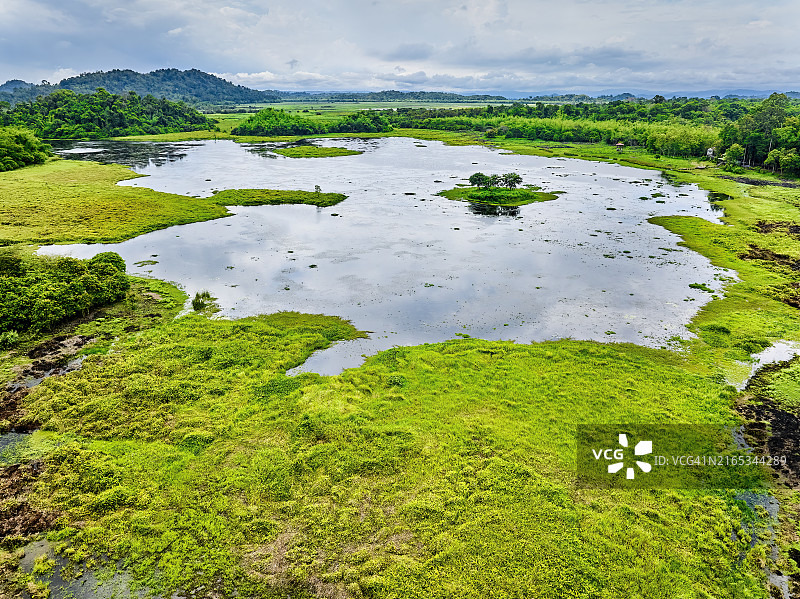 越南吉仙国家公园的鳄鱼湖图片素材