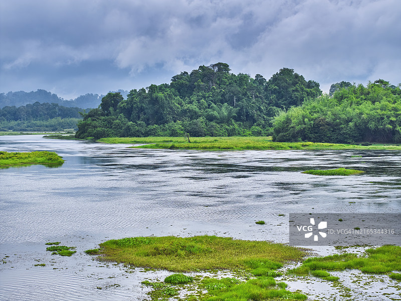 越南吉仙国家公园的鳄鱼湖图片素材