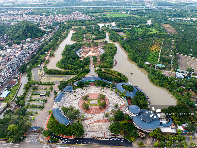 中国江门鸟的天堂公园航拍图片素材