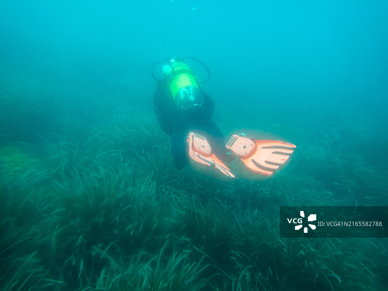 男子在莫莱拉潜水图片素材