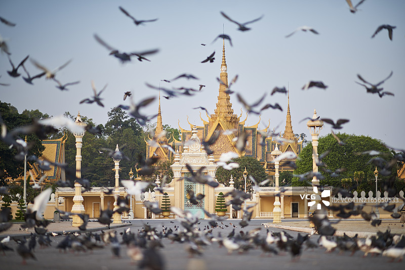 以鸽子为前景的柬埔寨金边皇宫低角度景观图片素材