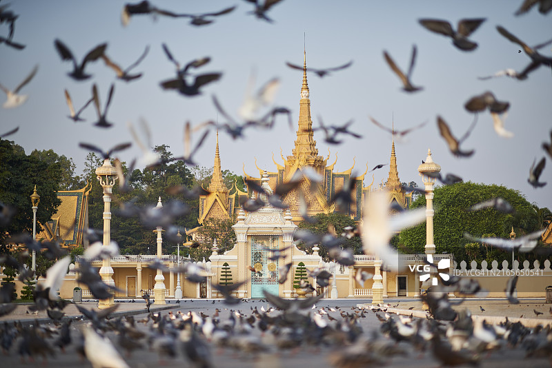 以鸽子为前景的柬埔寨金边皇宫低角度景观图片素材
