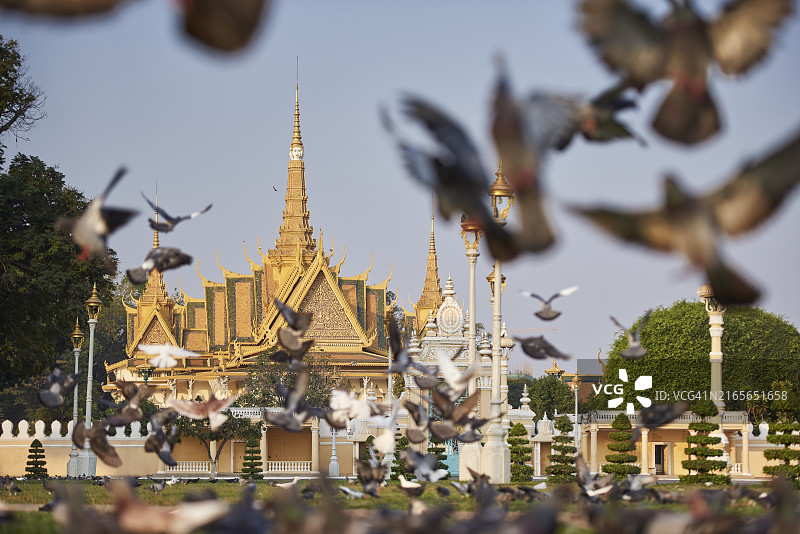 以鸽子为前景的柬埔寨金边皇宫低角度景观图片素材