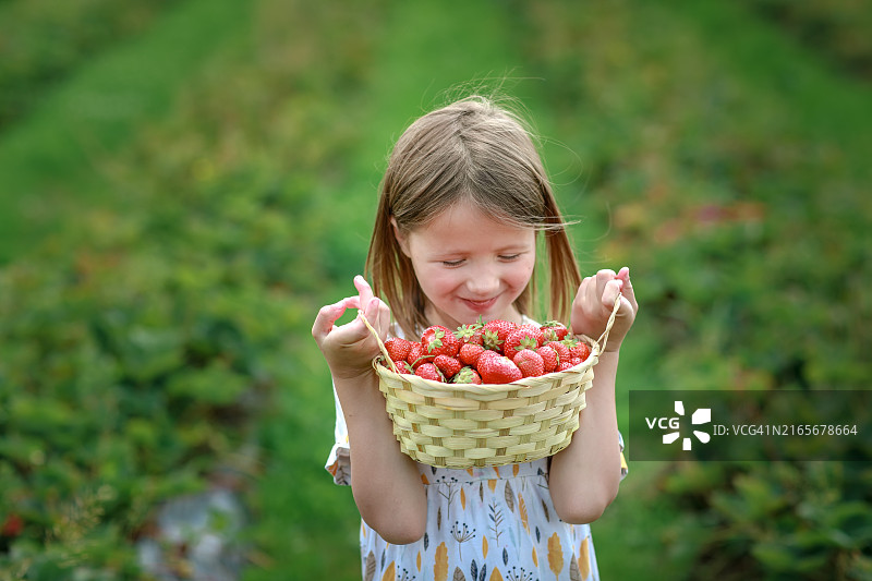 儿童肖像，在农场拿着一篮新鲜采摘的草莓图片素材