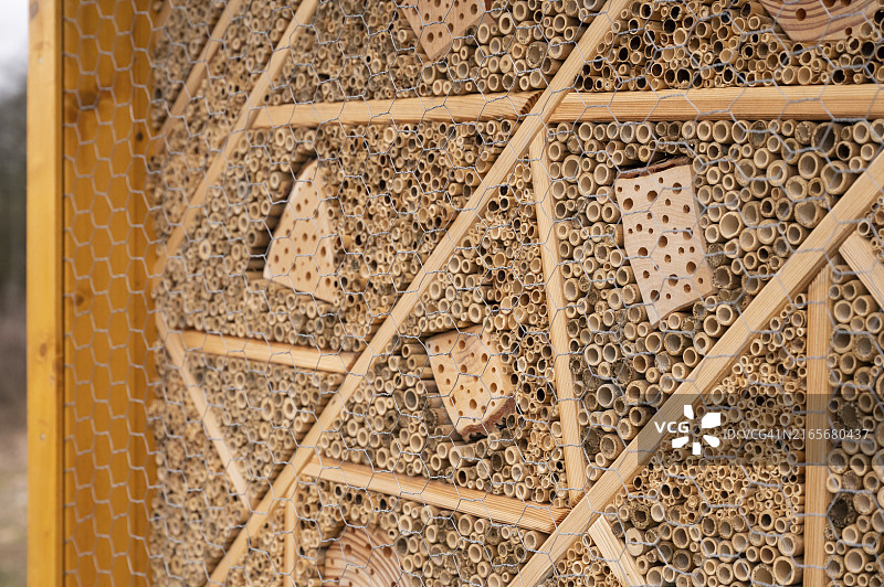 蜜蜂旅馆特写：用黄色木头制成的昆虫保护设施图片素材