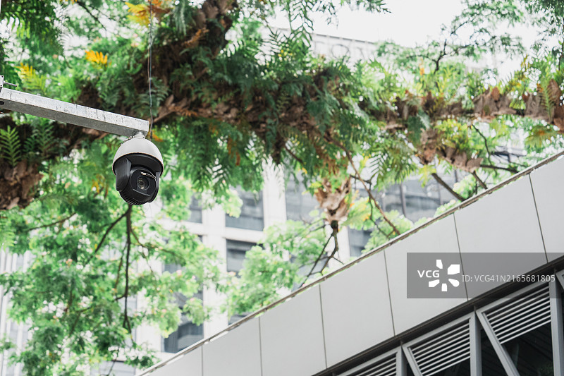 公园里的监控摄像头，背景是树木图片素材