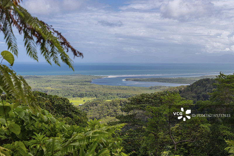 澳大利亚昆士兰州丹特里国家公园的热带雨林图片素材