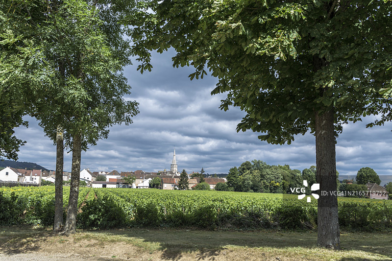 法国波马尔村前的葡萄园景观图片素材