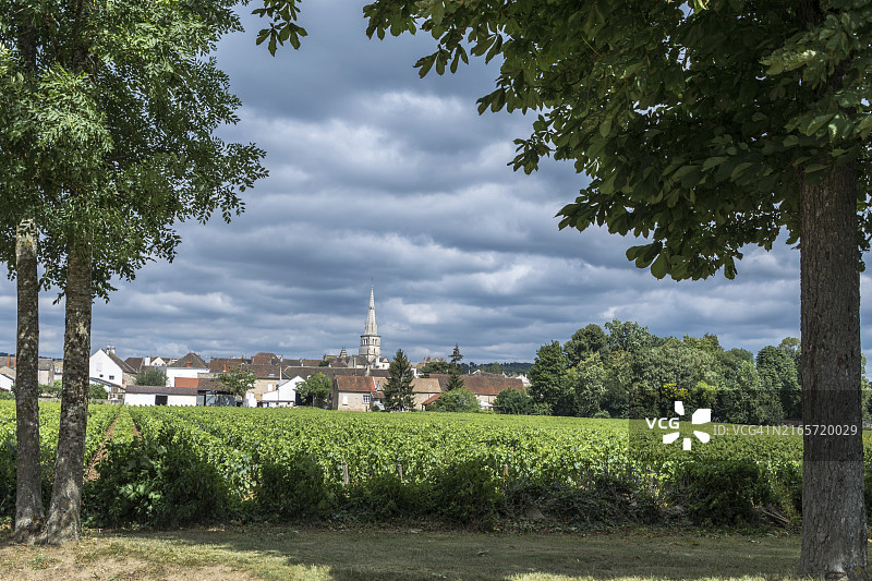 法国波马尔村前的葡萄园景观图片素材