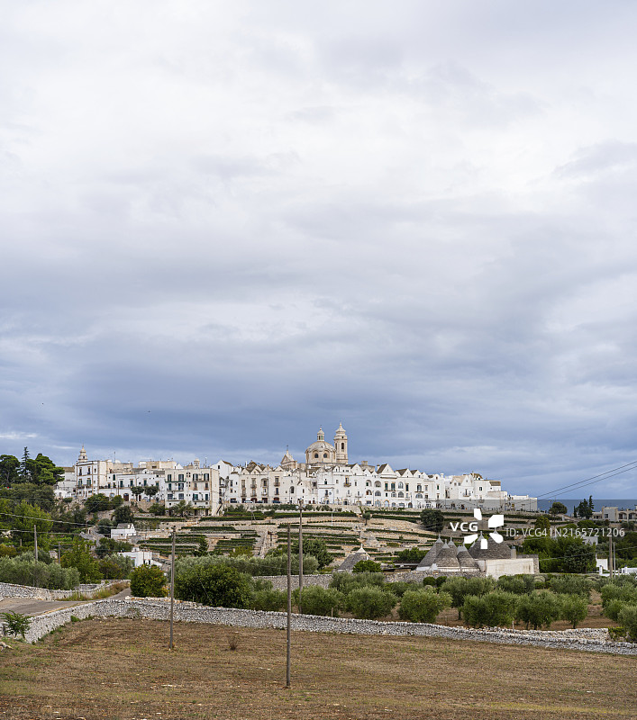 普利亚洛科罗通多橄榄树田天际线景色图片素材