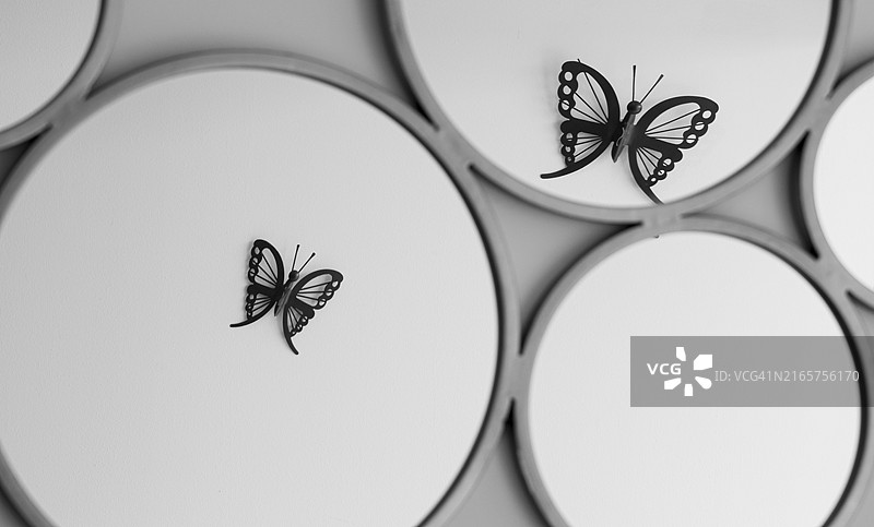 树叶上的蝴蝶特写，墨西哥图片素材