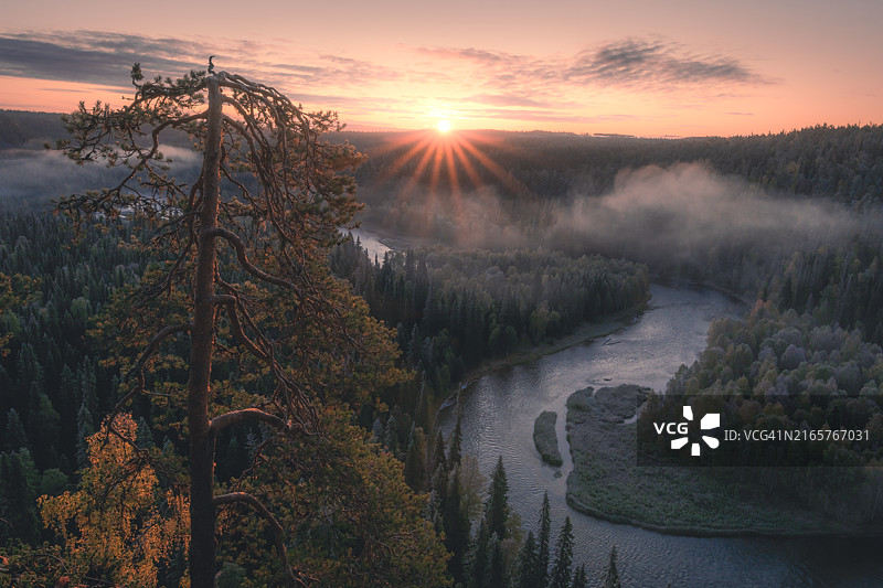 库萨莫奥兰卡国家公园日落时分的森林图片素材