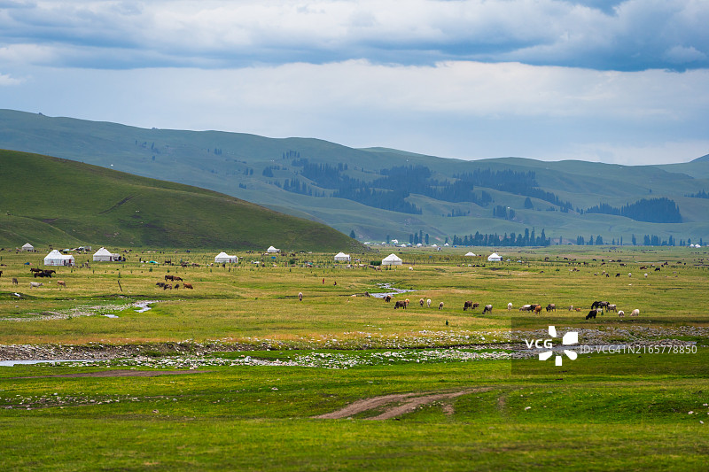 新疆维吾尔自治区那拉提草原美丽的夏日风光图片素材