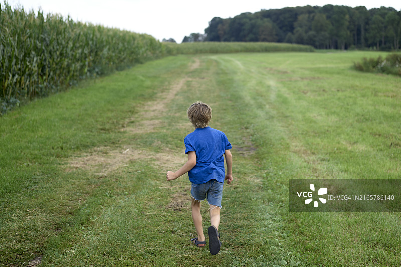 穿着蓝色衬衫和短裤的男孩在玉米地边的草地上奔跑图片素材