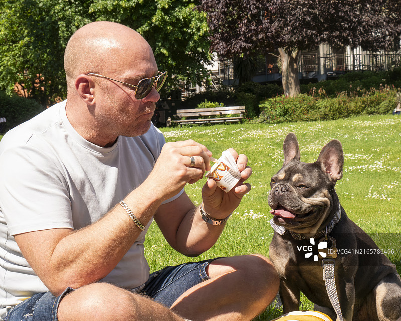一个秃头男人和他的法国斗牛犬在阳光明媚的公园里分享轻松一刻，都专注于美食图片素材