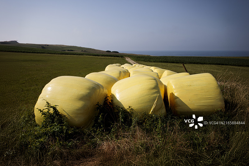 田野里的塑料秸秆捆图片素材