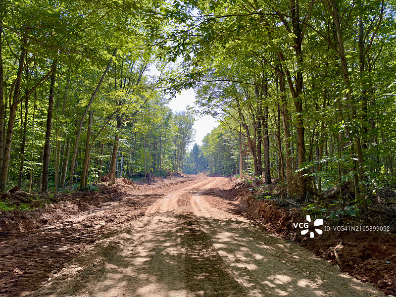森林中开辟的新伐木道路图片素材