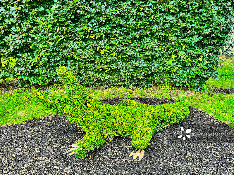 鳄鱼造型图片素材