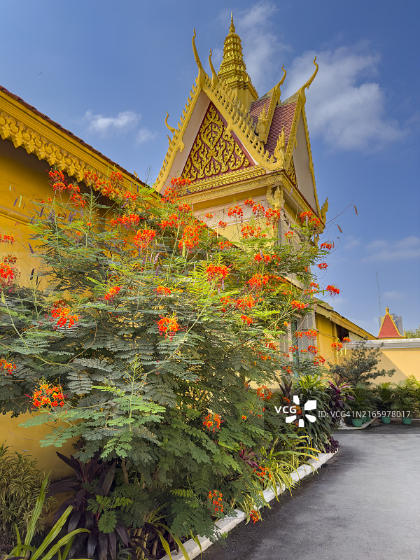 柬埔寨金边、中印、东南亚和亚洲的皇家宫殿外观图片素材