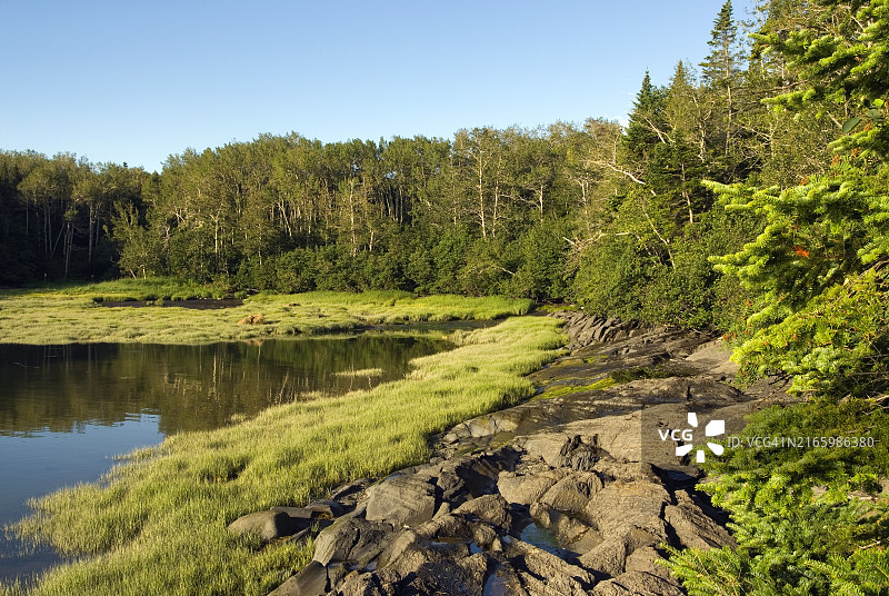 圣劳伦斯河岸，博诺姆布沙尔海湾，列夫勒岛，圣劳伦斯河，加拿大魁北克省，北美洲图片素材