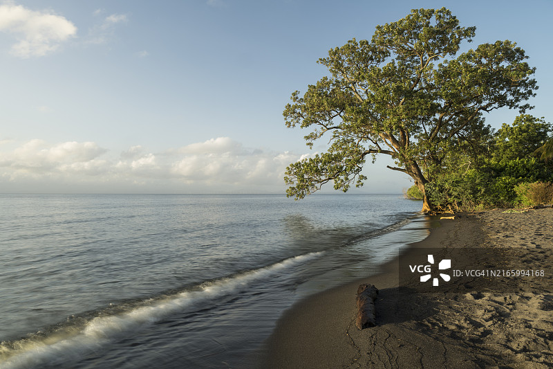 尼加拉瓜里瓦斯省奥梅特佩岛黎明海滩图片素材