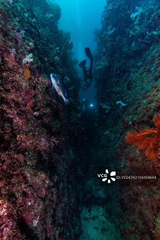 潜水员在水下裂缝中游泳图片素材