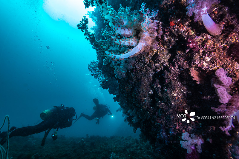 潜水员在水下悬崖边游泳图片素材