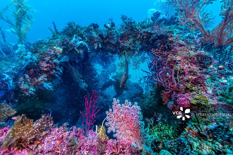 彩色人工鱼礁（俯视）图片素材