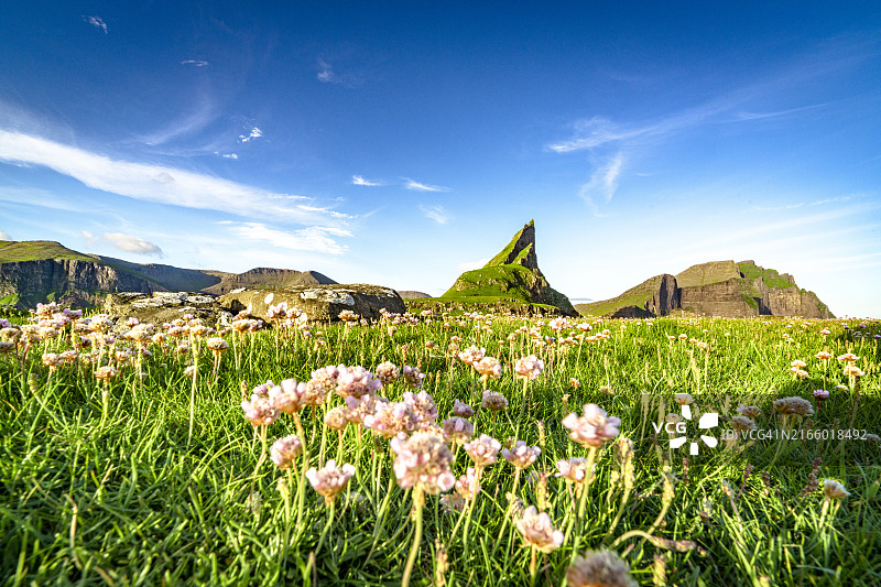 夏季开花草甸上的晴朗天空图片素材