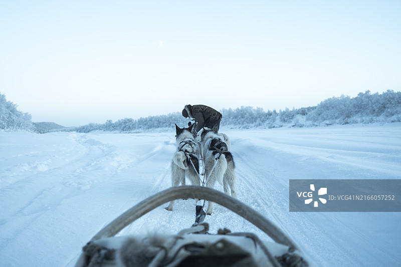挪威人物照看狗拉雪橇队图片素材
