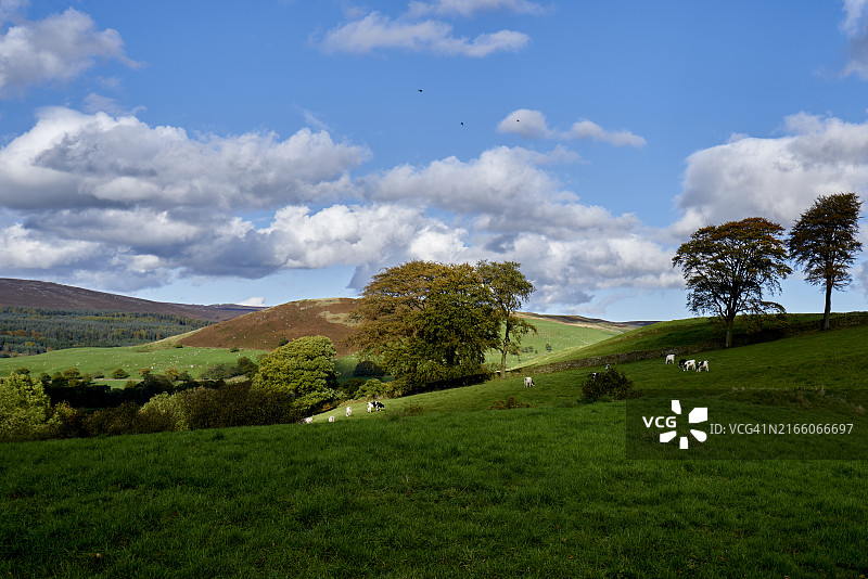 英国约克郡乡村图片素材