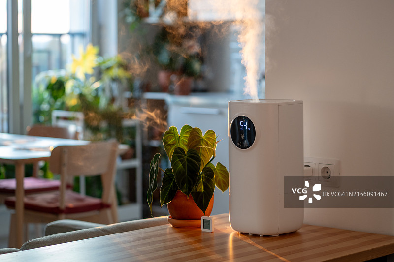 家中桌子上的空气加湿器，阳光照亮蒸汽，花盆里种植着蔓绿绒。图片素材