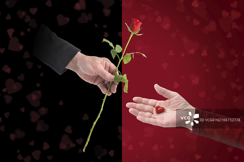 情侣手持玫瑰和玻璃心，红黑背景，情人节或婚礼爱情概念图片素材
