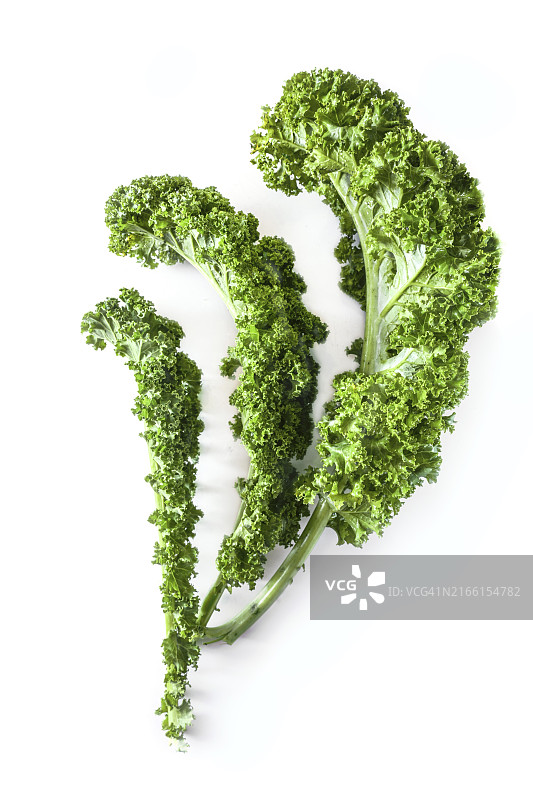 白色背景上的三片卷曲羽衣甘蓝叶图片素材