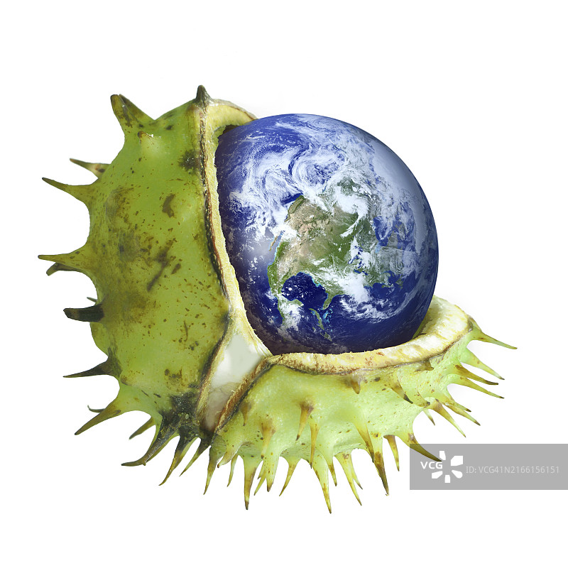 破碎栗壳中保护的地球仪：环保、臭氧层、温室气体象征拼贴图片素材