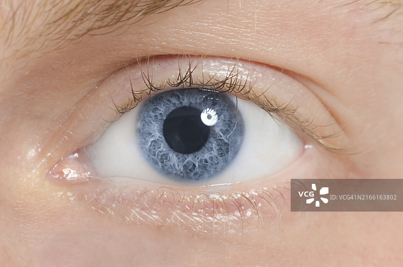 蓝色人眼特写，微距图片素材