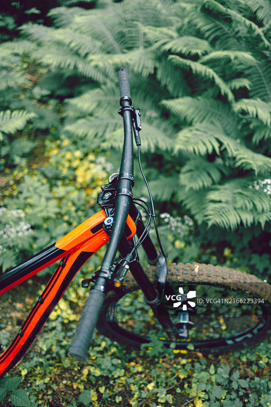 阳光明媚的日子里，山地自行车手在森林小径上骑行图片素材