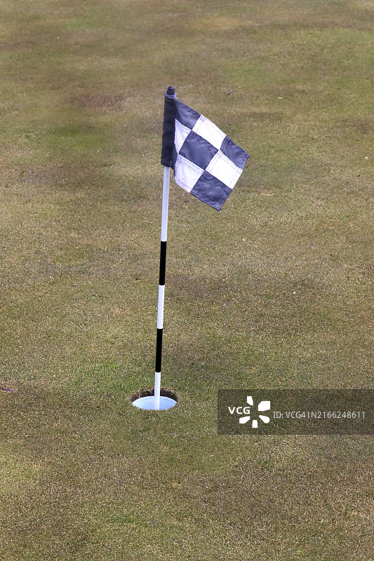 带高尔夫球洞和旗帜的推杆果岭图片素材