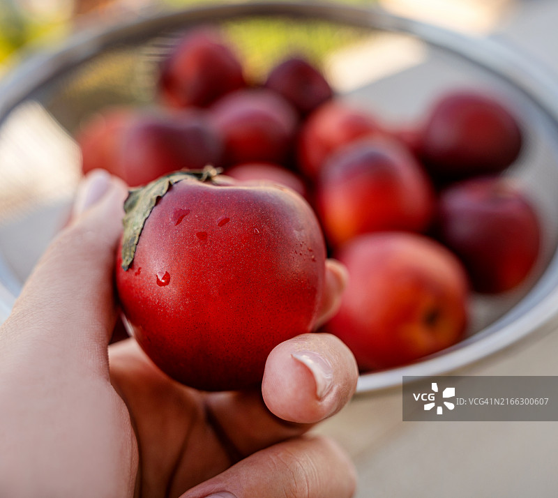手持油桃和一碗新鲜的时令水果图片素材