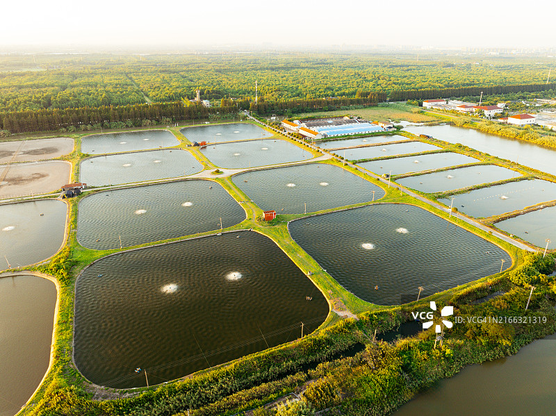 虾养殖场和水体增氧机航拍图片素材