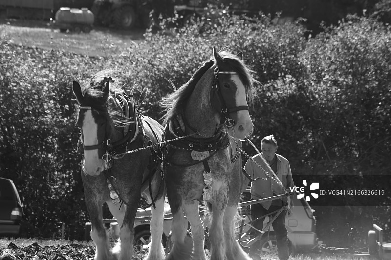 耕地比赛图片素材