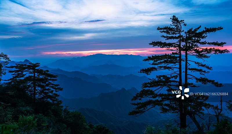 日落时分的乡村古树景观图片素材