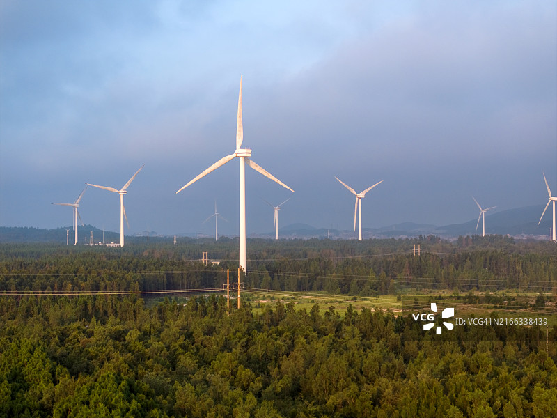 农场防护林带上的风力涡轮机航拍图片素材