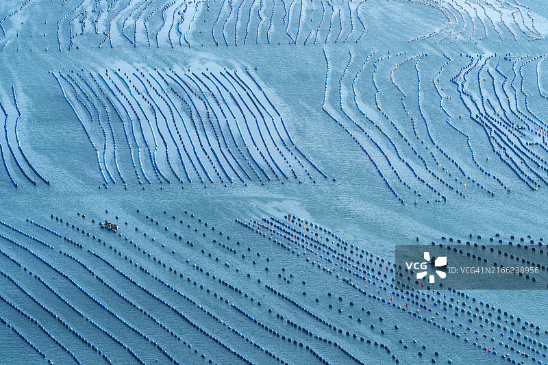 海上水产养殖鸟瞰图图片素材