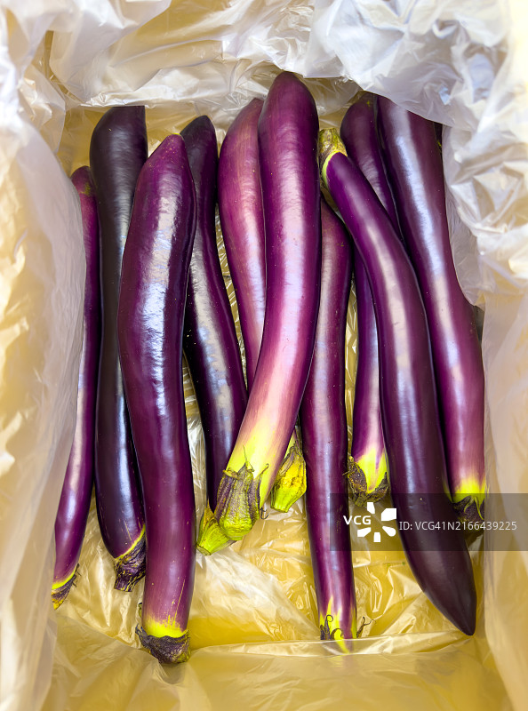 横滨桥市场的新鲜茄子图片素材