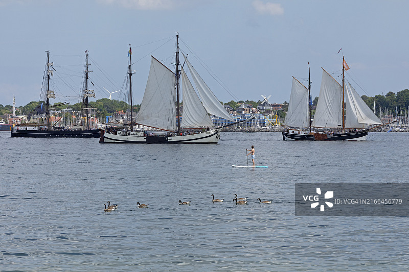 帆船、加拿大鹅、桨板运动，德国基尔周航海节图片素材